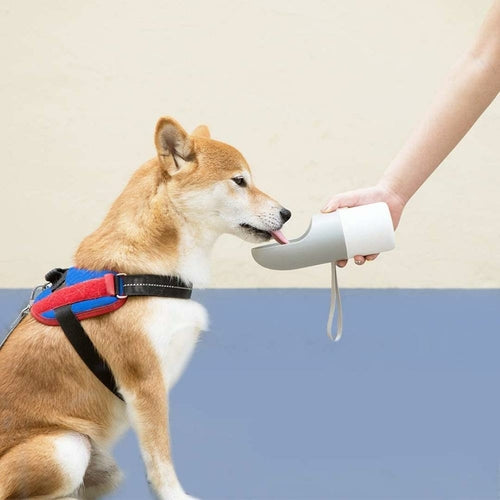 Instachew dog water bottle