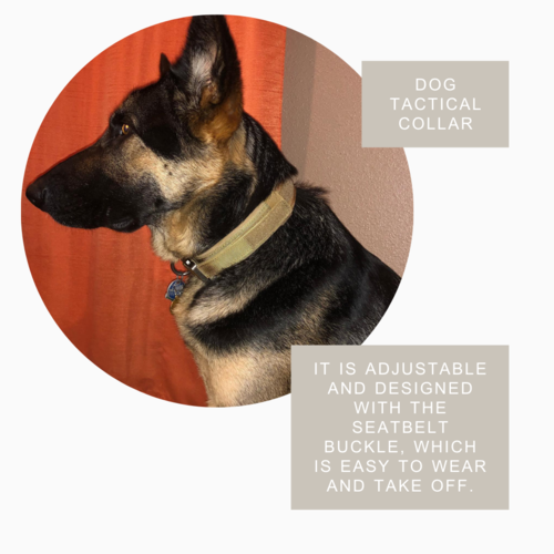 Tactical Dog Collar - Adjustable