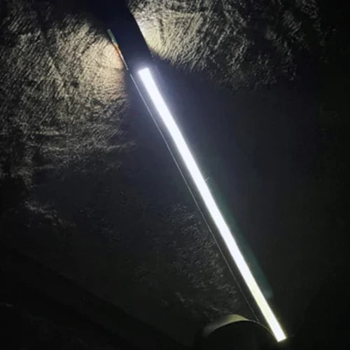 LED Light Up Dog Leash