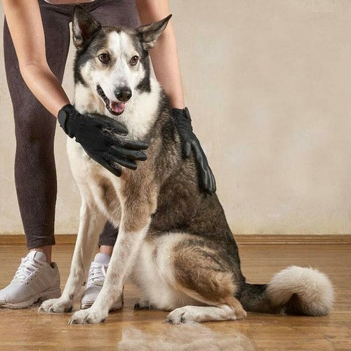 Pet grooming gloves